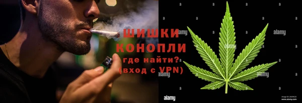 мяу мяу мука Абаза