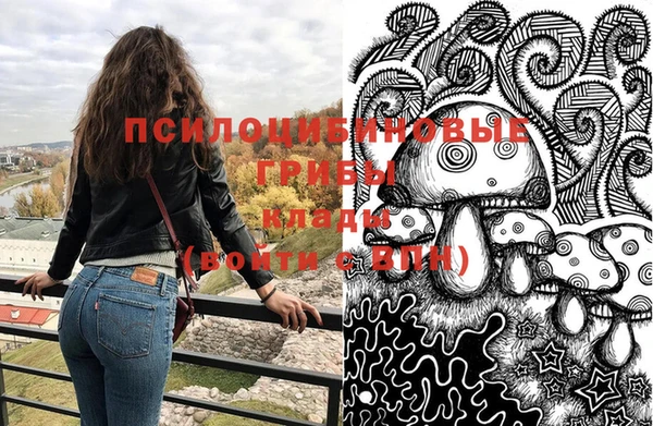 гидропоника Алзамай