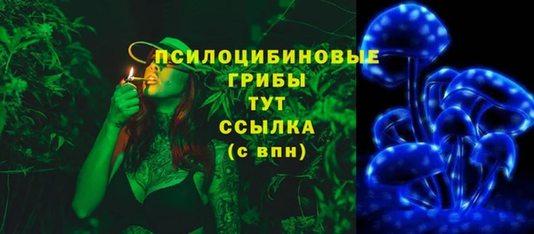 мяу мяу мука Абаза