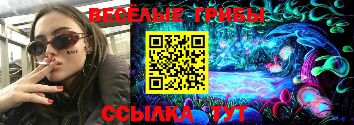 Псилоцибиновые грибы прущие грибы Дальнереченск