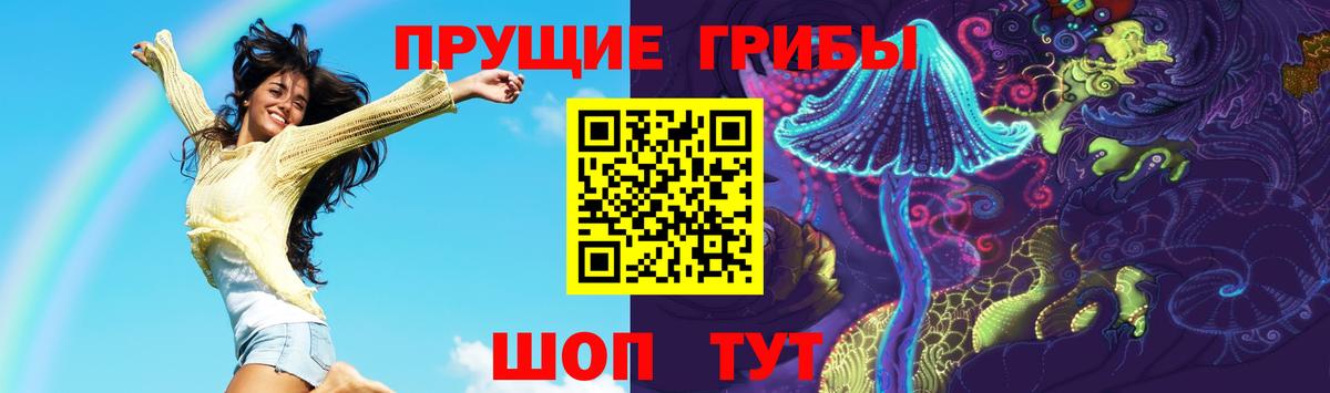 Псилоцибиновые грибы Cubensis  Галлюциногенные грибы GOLDEN TEACHER  Вход с VPN  Дальнереченск 
