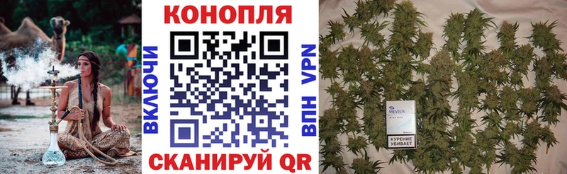 Бошки Шишки тримм  гидра ссылки  Дальнереченск 